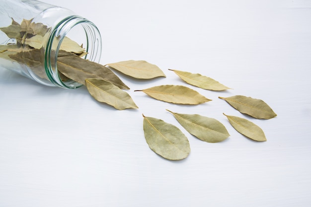 Feuilles de laurier séchées en pot de verre sur un fond en bois blanc