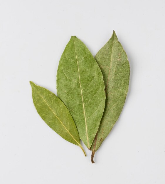 Photo feuilles de laurier sèches feuille de laurier naturelle épicée feuille d'ail ingrédient parfumé épice aromatique