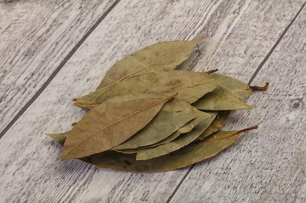 Feuilles de laurier sèches