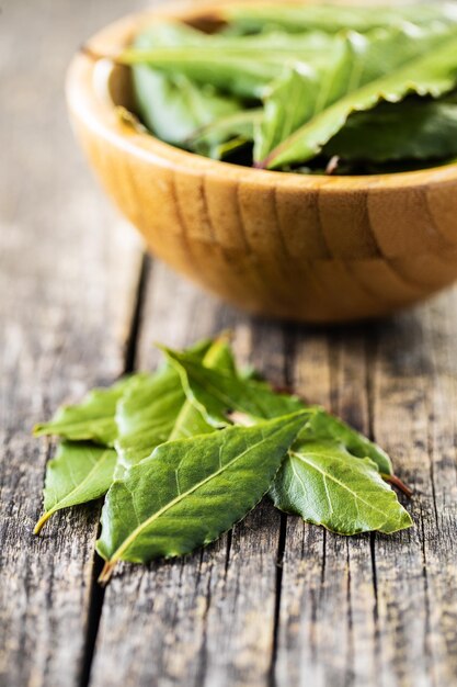 Feuilles de laurier vert frais sur table en bois