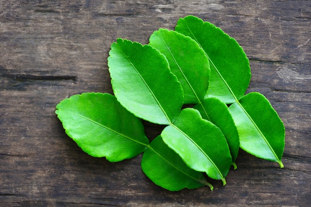 Feuilles de lime kaffir feuille de bergamote