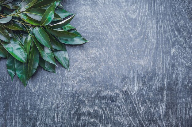 Feuilles de litchi bio frais sur une surface en bois rustique