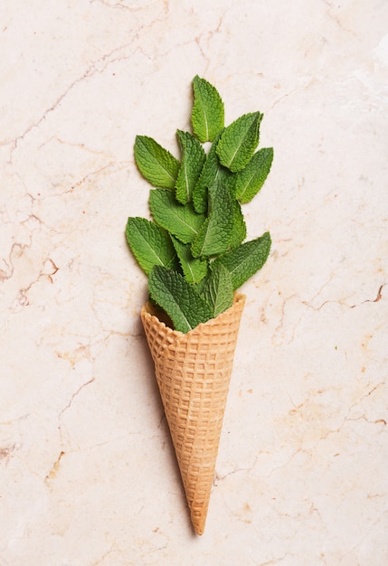 Feuilles de menthe en cornet de crème glacée