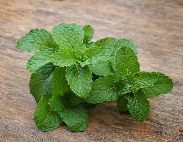 Feuilles de menthe avec étiquette