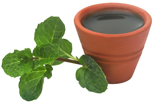 Feuilles de menthe avec extrait dans une poterie d'argile