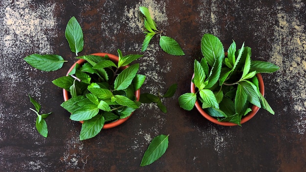 Feuilles de menthe fraîche dans un bol