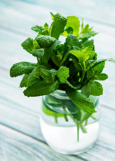 Feuilles de menthe fraîche dans un petit bocal en verre