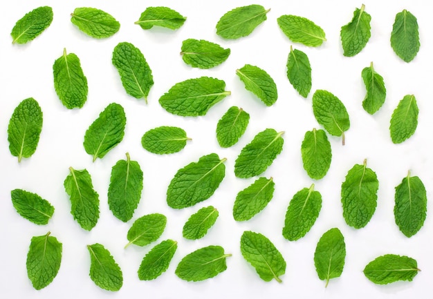 Photo feuilles de menthe fraîche isolées