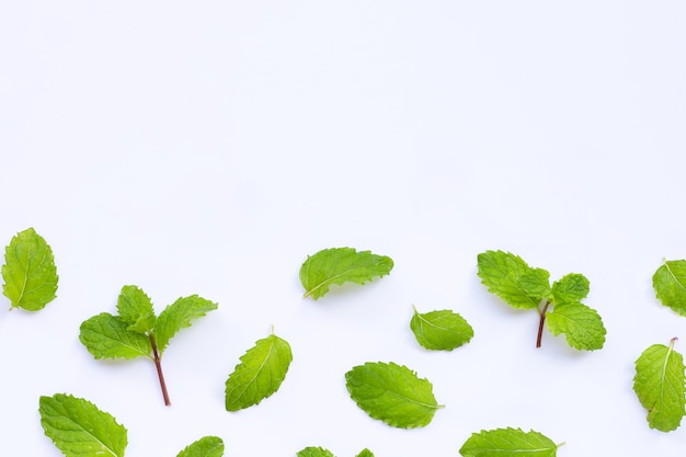 Feuilles de menthe fraîche isolés sur tableau blanc. Copier l'espace