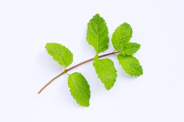 Feuilles de menthe fraîche. Vue de dessus