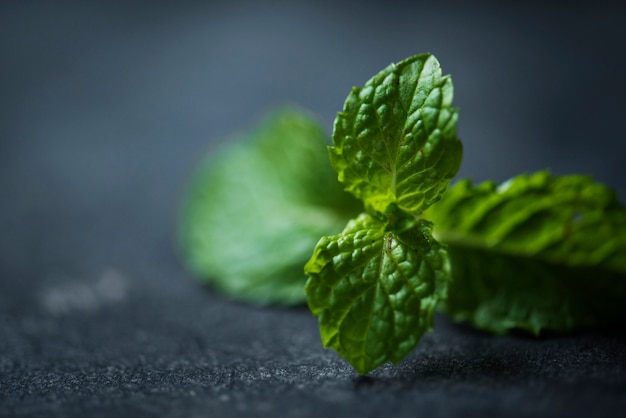 Feuilles de menthe poivrée cuisson herbe