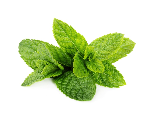 Photo feuilles de menthe poivrée fraîche isolé sur fond blanc