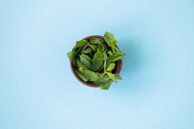 Feuilles de menthe verte fraîche sur fond bleu mise à plat Espace pour le texte