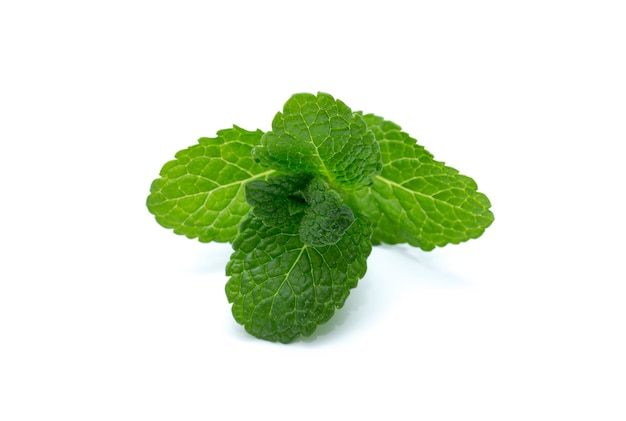 Feuilles de menthe verte fraîche isolées sur une surface blanche. vue de dessus.