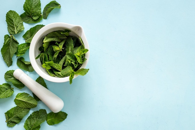 Feuilles de menthe verte d'herbes curatives dans le mortier pour la médecine