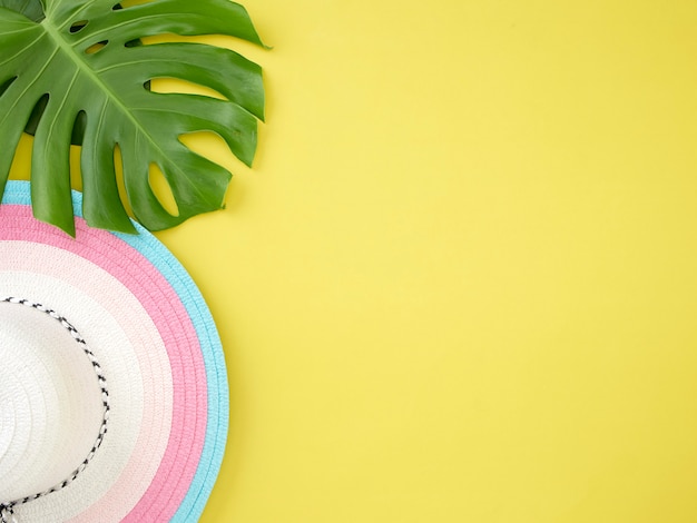 Feuilles de Monstera avec un chapeau