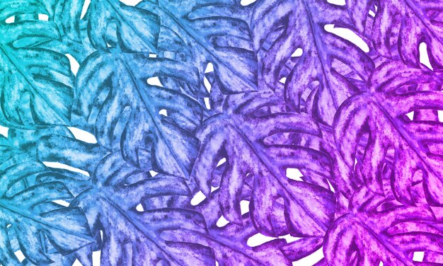 Feuilles de Monstera avec fond de nature printemps filtre bleu et violet à deux tons