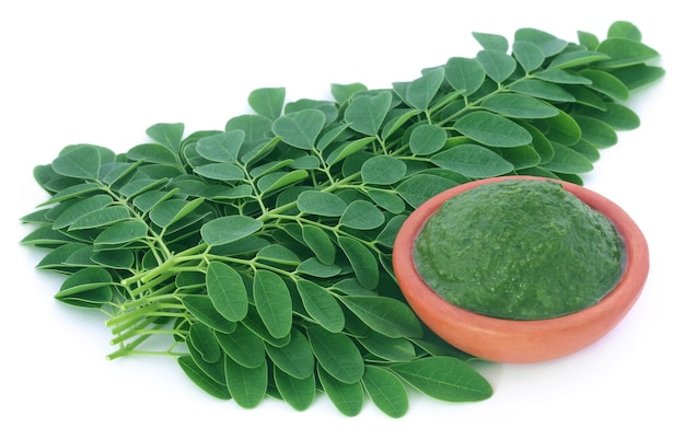 Photo feuilles de moringa avec une purée dans un bol sur fond blanc