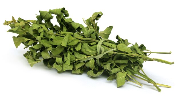 Feuilles de moringa séchées sur fond blanc