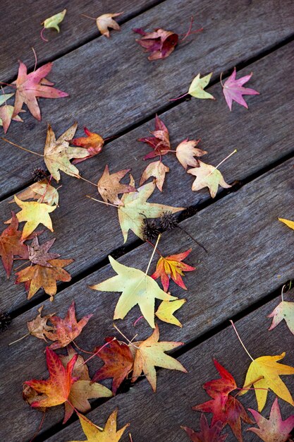 Des feuilles mortes sur un pont en bois