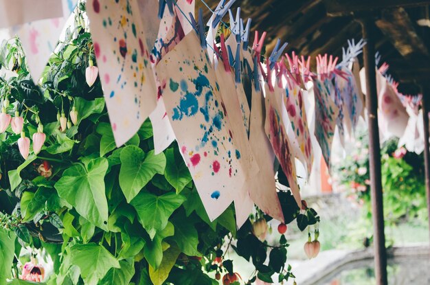 Photo des feuilles multicolores suspendues