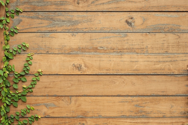 Feuilles sur le mur et le mur en bois pour le fond