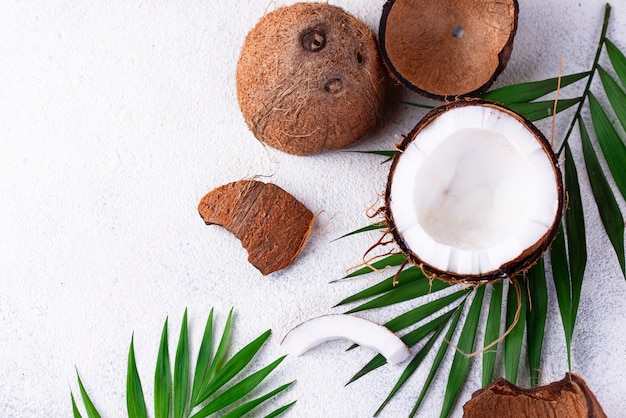 Photo feuilles de noix de coco et de palmier tranchées