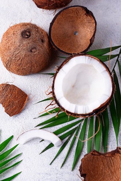 Feuilles de noix de coco et de palmier tranchées