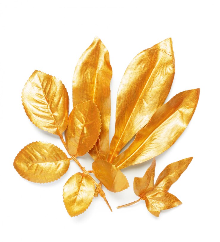 Photo feuilles d'or