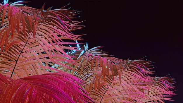 Feuilles de palmier avec diverses couleurs tropicales sur fond noir animation 3D