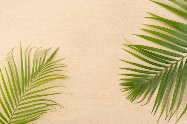 Feuilles de palmier sur fond de plage de sable avec espace de copie.