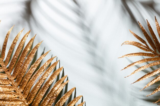 Les feuilles de palmier d'or et les ombres sur un fond de mur bleu.