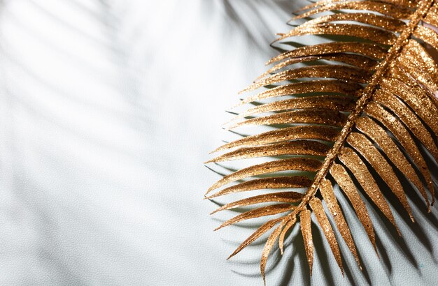 Les feuilles de palmier d'or et les ombres sur un fond de mur bleu.