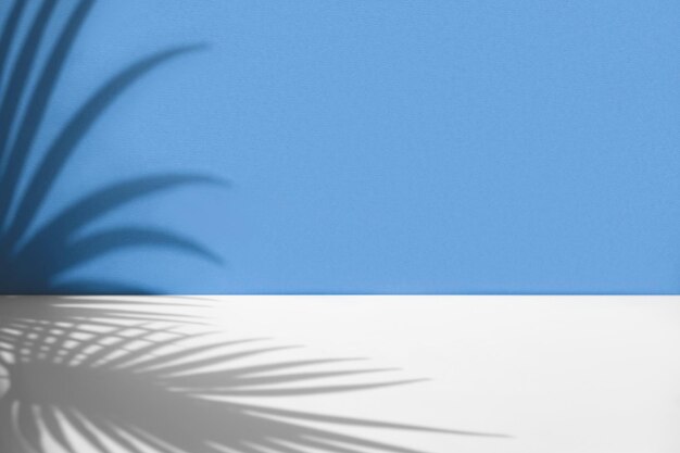Feuilles de palmier tropical abstrait mur ombre. Présentation produit cosmétique. Vitrine du podium