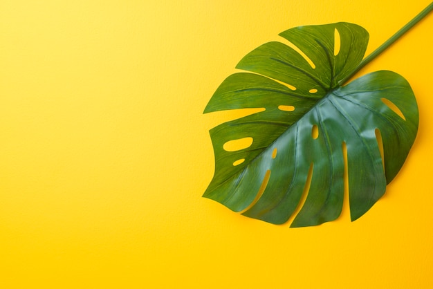 Feuilles de palmier tropical sur fond jaune avec espace de copie