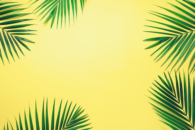 Feuilles de palmier tropical sur fond jaune pastel. Concept d&#39;été minime. Feuille verte vue de dessus sur papier pastel punchy