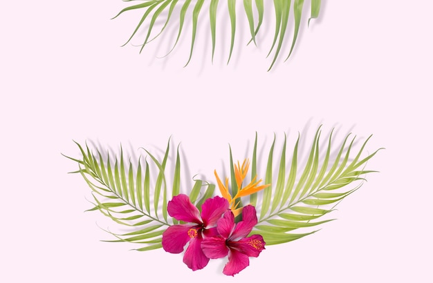 Photo feuilles de palmier tropical sur fond rose. nature minimale