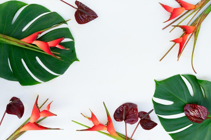 Photo des feuilles de palmier vertes tropicales fraîches et des fleurs rouges exotiques d'heliconia sur un fond en bois