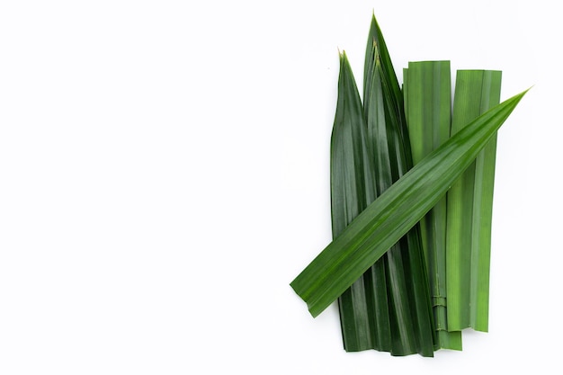 Feuilles de pandan fraîches sur fond blanc