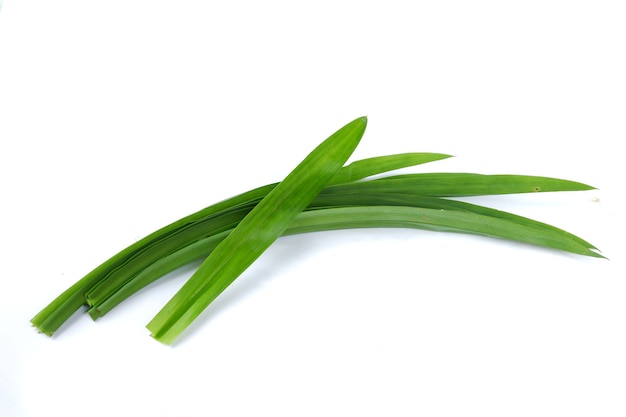 Feuilles de pandan frais isolés sur fond blanc