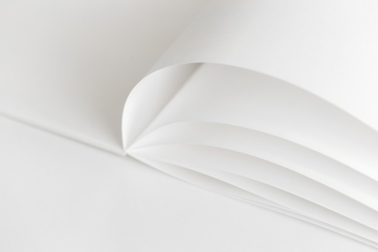 Photo feuilles en papier