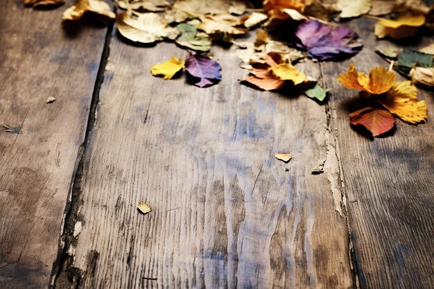 Photo feuilles et pétales sur une table en bois