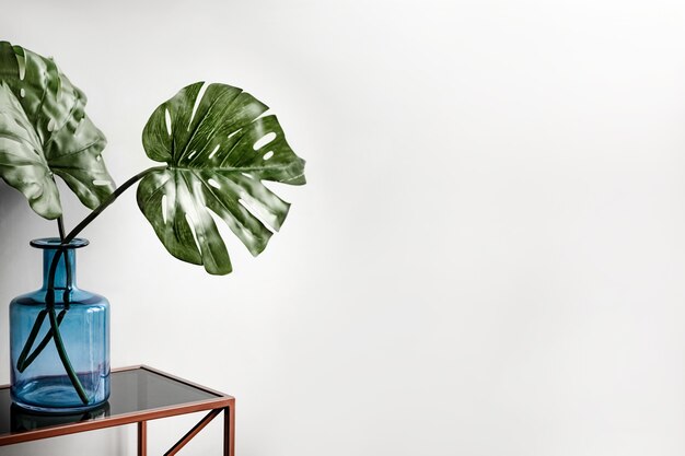 Les feuilles des plantes de Monstera vert se tiennent sur la table dans une grande bouteille en verre bleu