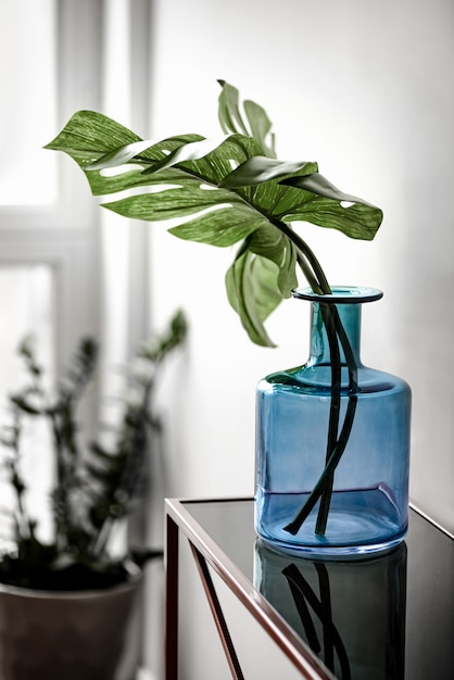 Les feuilles des plantes de Monstera vert se tiennent sur la table dans une grande bouteille en verre bleu