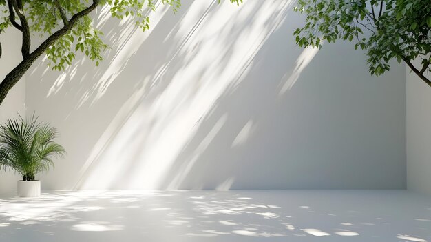 Les feuilles des plantes avec des ombres à la lumière du soleil sont isolées sur un fond blanc de haute qualité