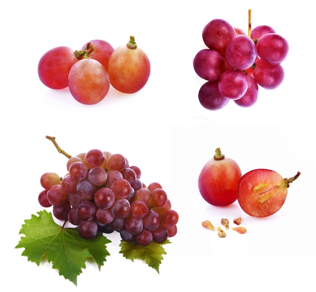 Feuilles de raisin sur fond blanc