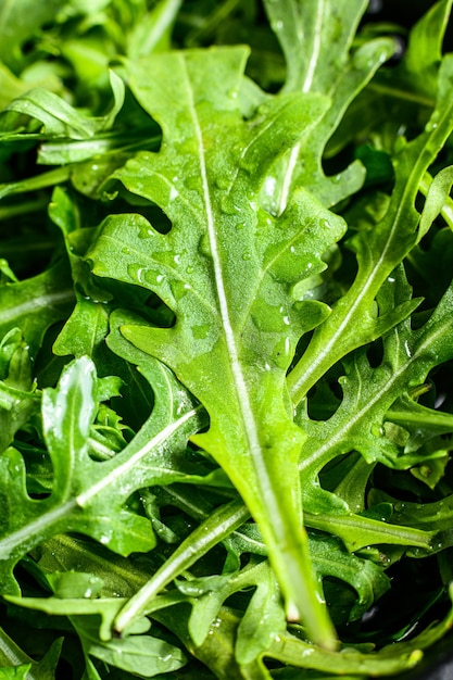 Feuilles de roquette fraîche dans une passoire.