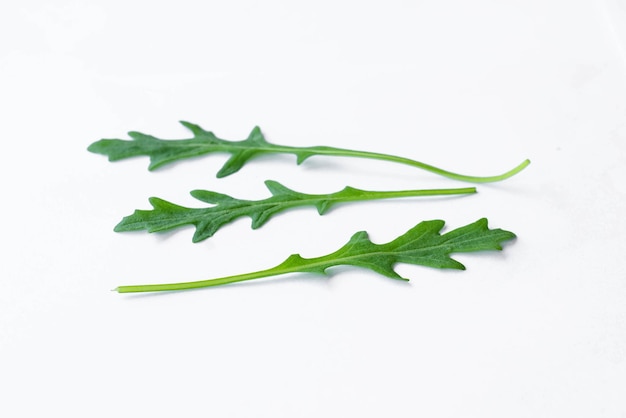 Feuilles de roquette verte fraîche isolées sur fond blanc