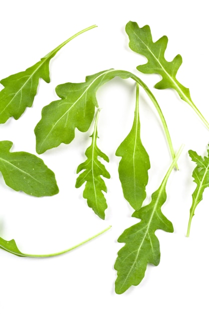 Feuilles de rucola fraîches