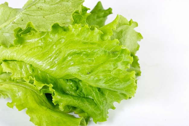 Feuilles de salade sur un blanc